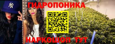 МДПВ Кизляр